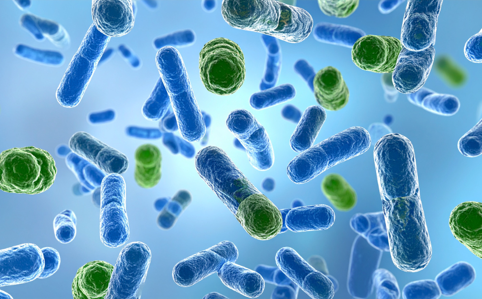 The Role of UVC in Reducing the Spread of Infectious Diseases