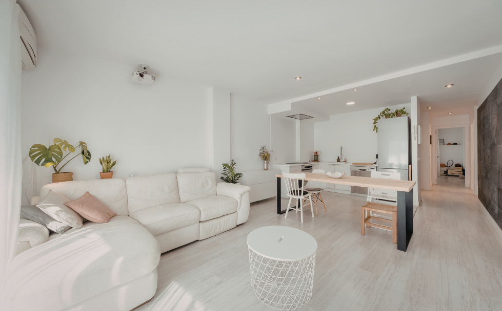 How to Improve Indoor Air Quality Without Chemicals
