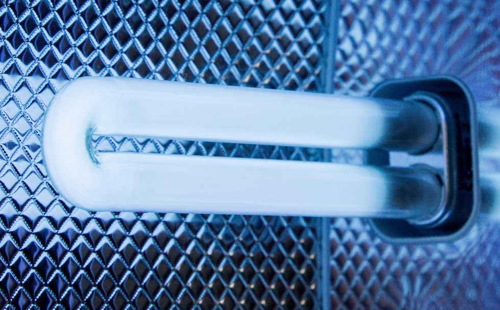 UV light bulb emitting bluish light