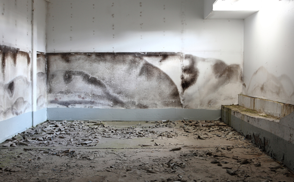 How UV Sanitizers Reduce Mold, Mildew & Odors