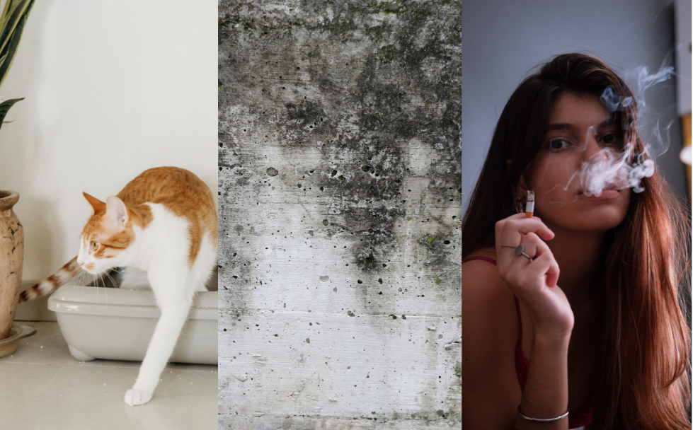 Tough Odors at Home or Work? UV Light Can Help